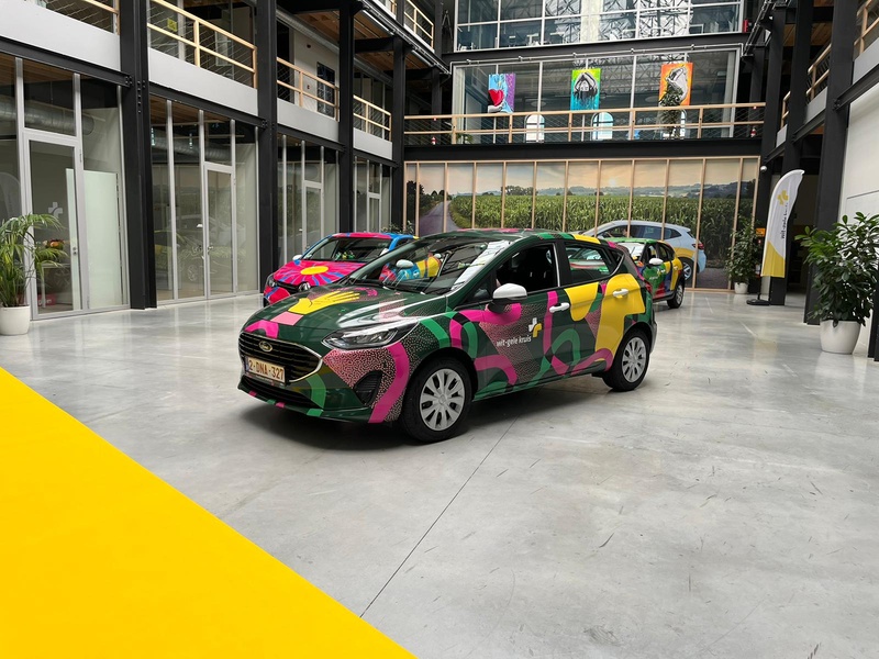 Carwrap auto's