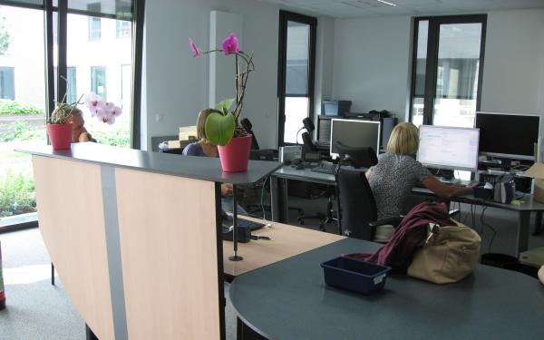 kantoor-afdeling-Halle