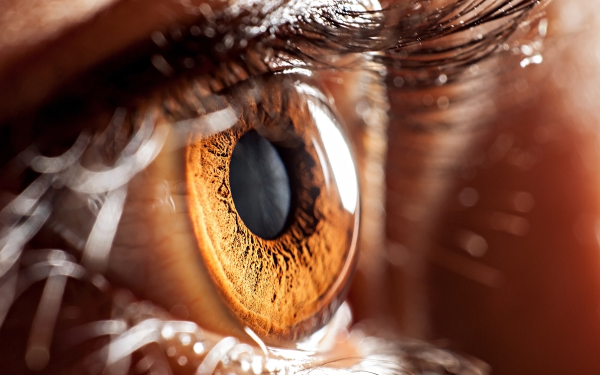 ogen, ouderdomsverschijnselen, glaucoom, cataract