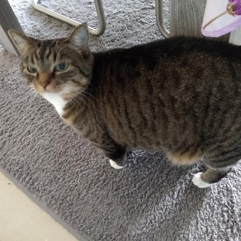 Poes Marie