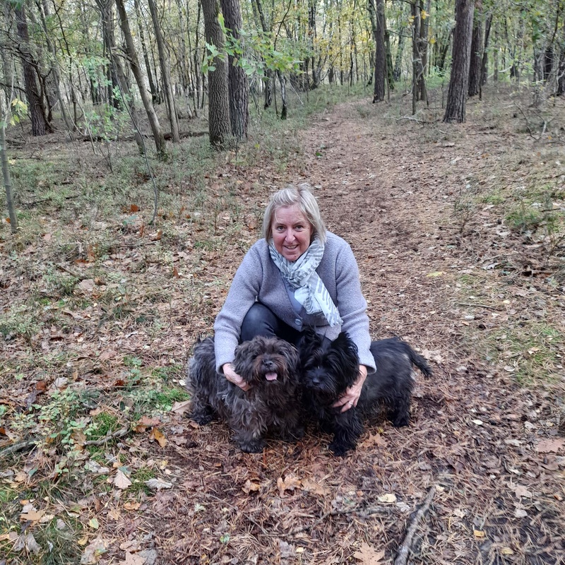 Karin-wandeling met honden