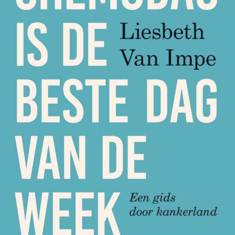 Cover boek Liesbeth Van Impe