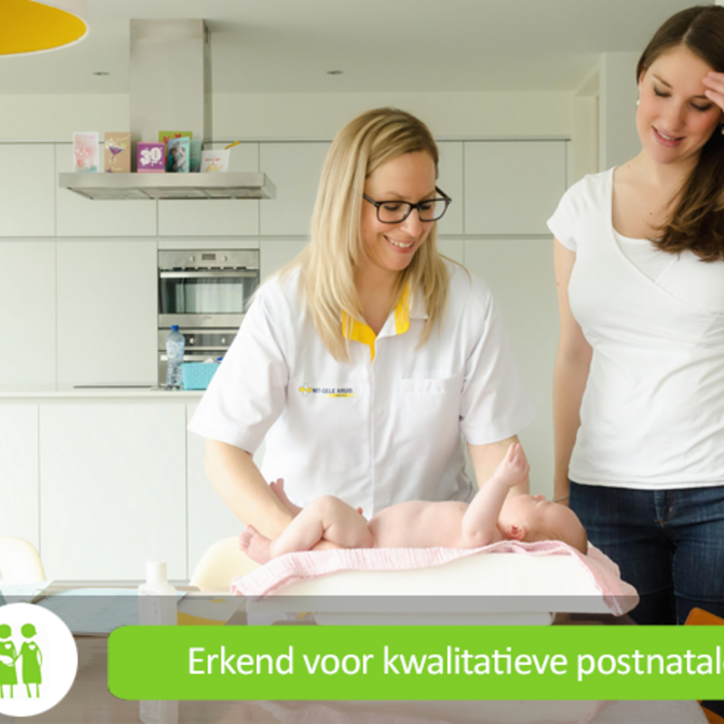 Vroedvrouwen
