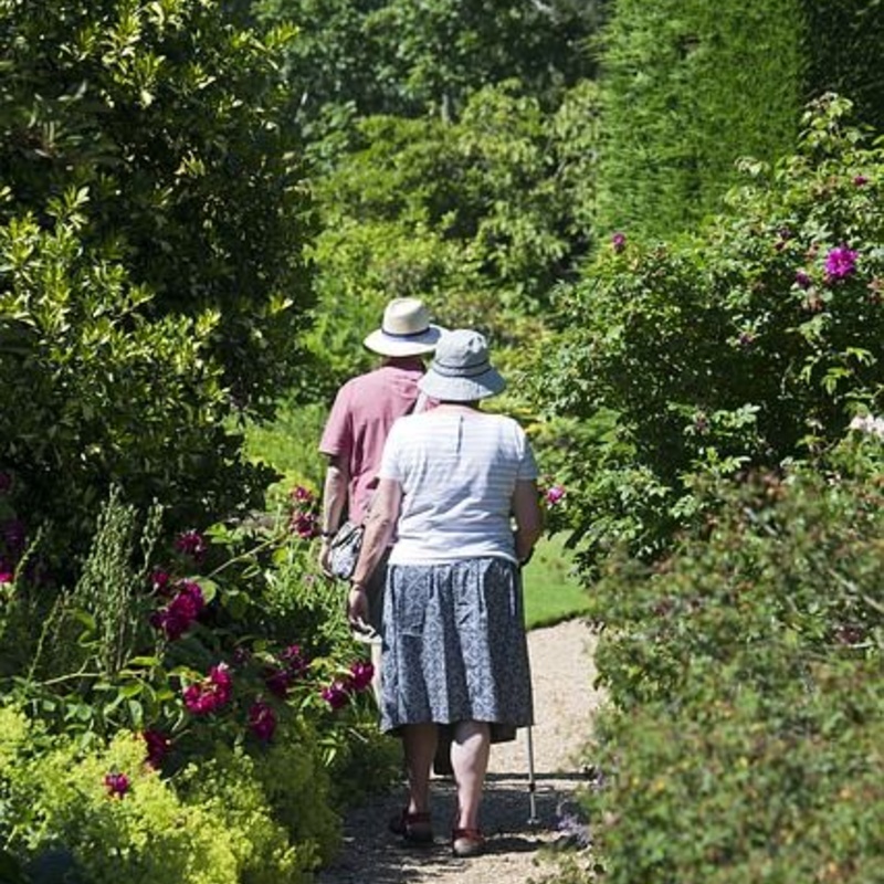 Wandelend koppel, valpreventie, langer thuis wonen