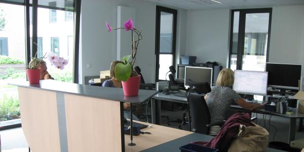 kantoor-afdeling-Halle