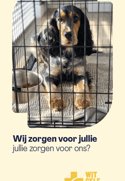 Cover huisdieren