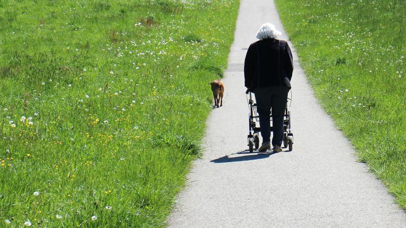 rollator rollator