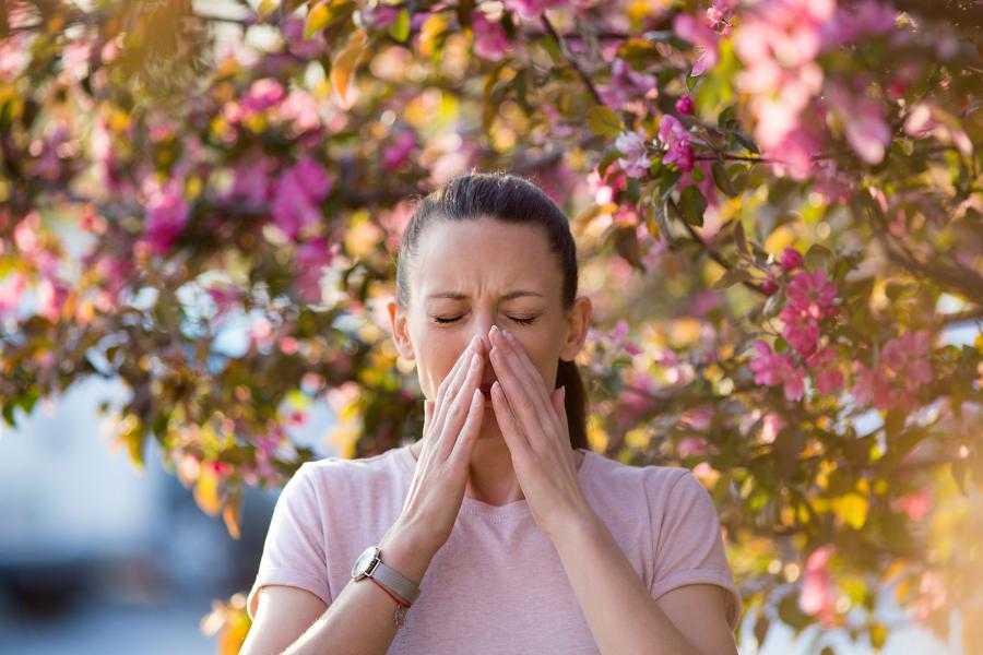 Foto niezen door allergie